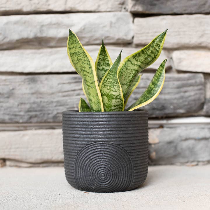 Made by Kippen - Wholesale Plant Pot - Scandi Style Planter-Now in 3 sizes!!4