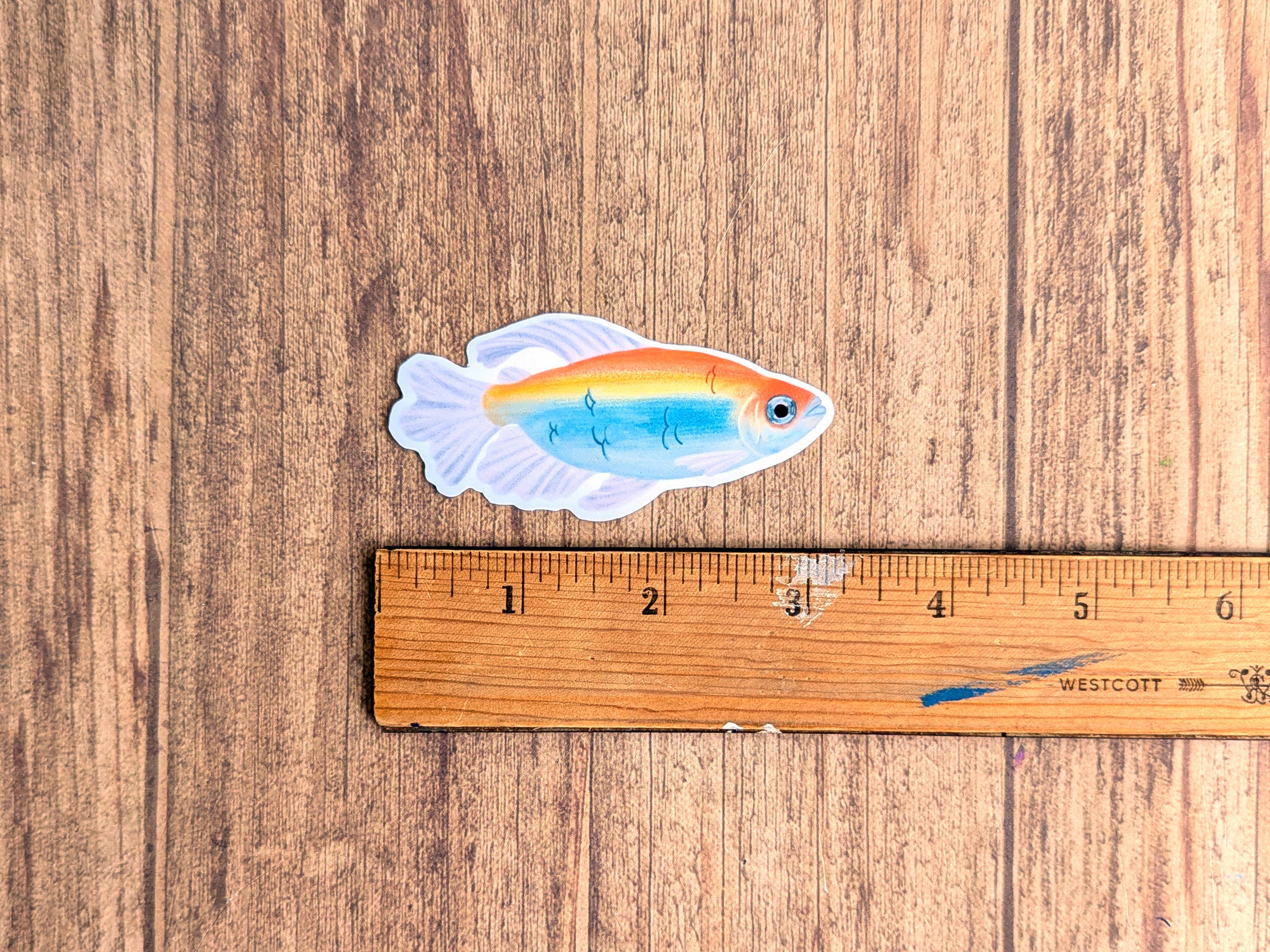 Proper Wolf - Wholesale Sticker - Congo Tetra Fish Vinyl Sticker Decal2