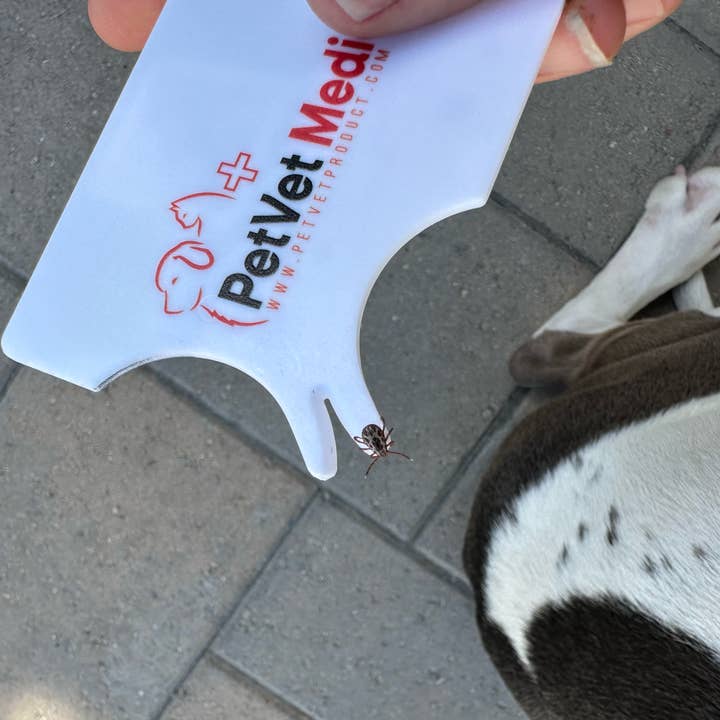 Pet Vet Products - Wholesale Pet Grooming Tool - Dog - Vet-Approved Tick Remover Card (3 Pack) for Pets & People1