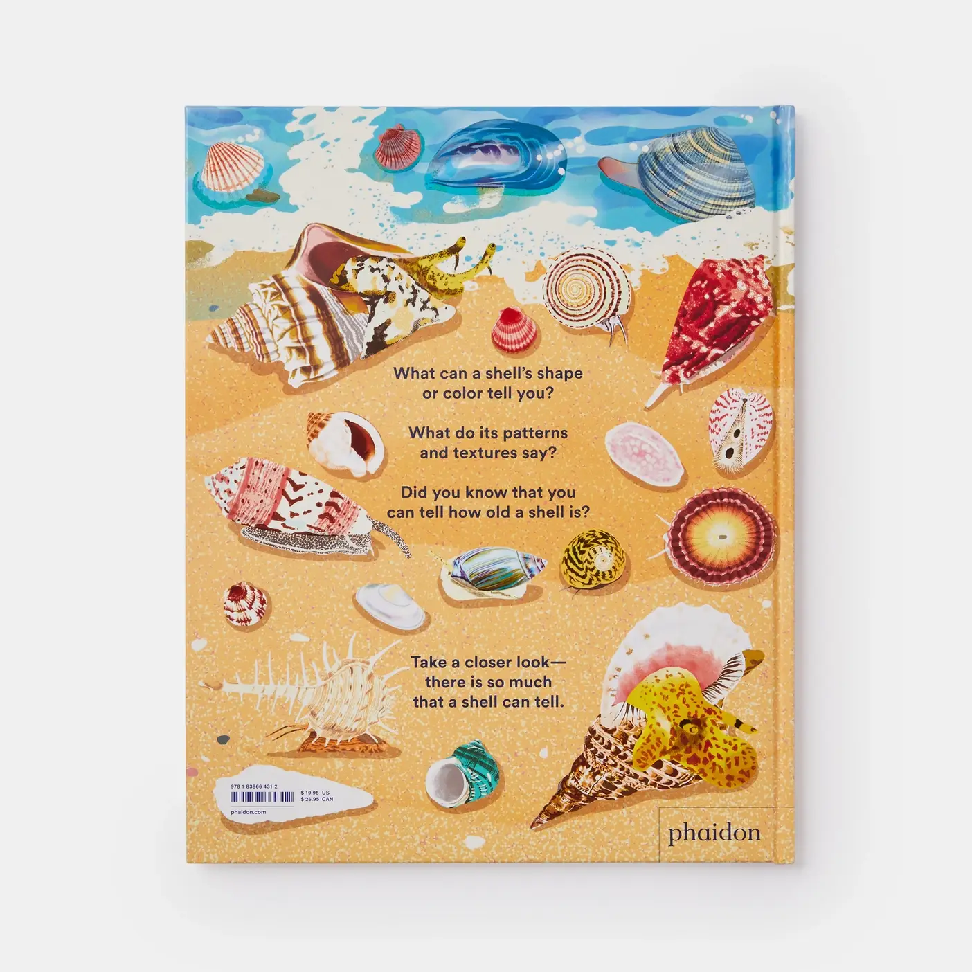 Phaidon - Wholesale Nature & Outdoors - What A Shell Can Tell8