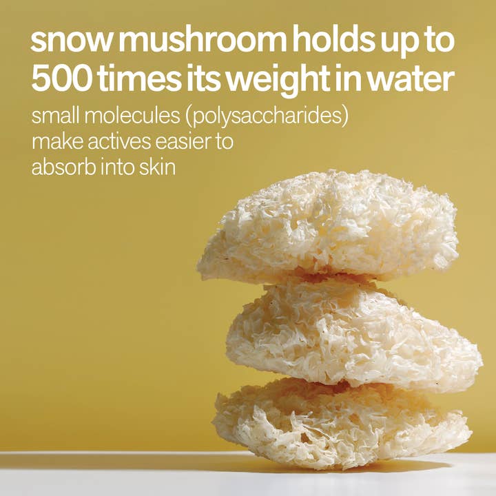 Plant Beauty Distillery - Wholesale Facial Moisturizer - 'Shroom Moisture Boom Moisture Water2