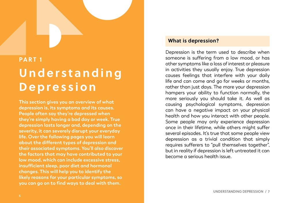 W. W. Norton - Wholesale Self-Help & Personal Development - How to Understand and Deal with Depression4