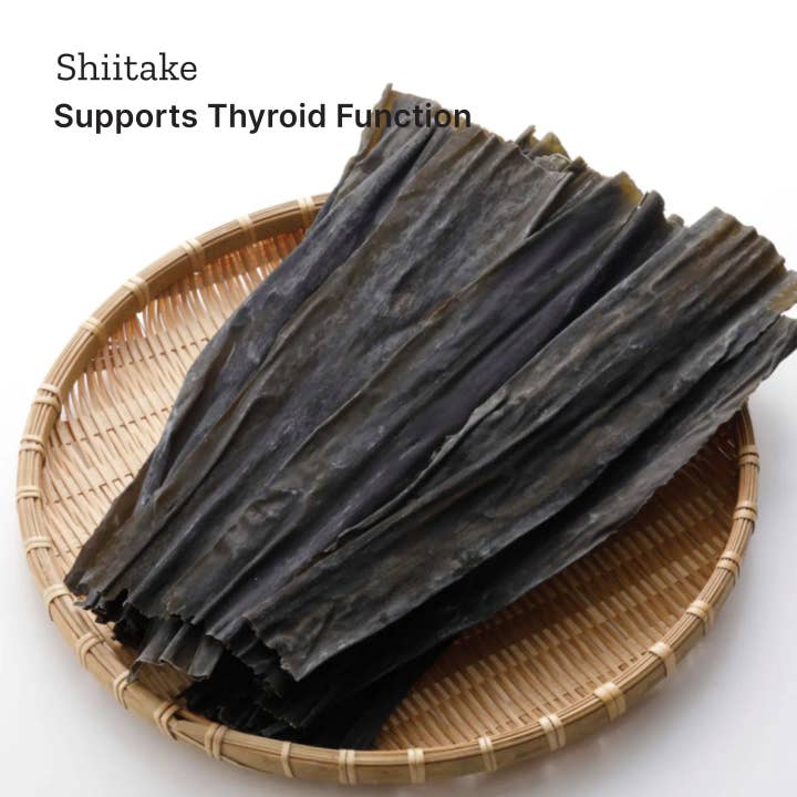 Brodo Broth Company - Wholesale Broth - Organic Mushroom Broth (6 x 1 Cup)4