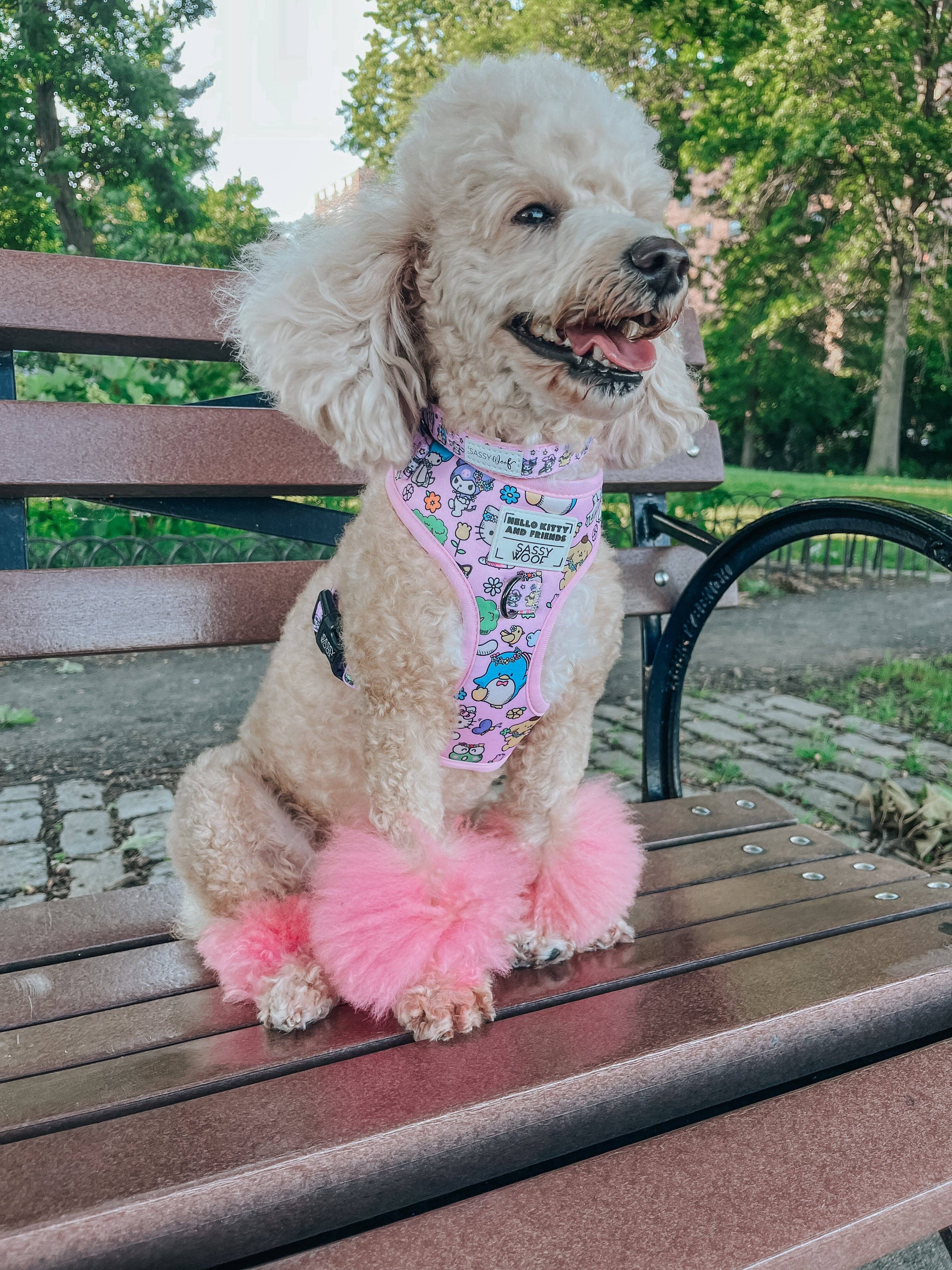 SASSY WOOF - Wholesale Pet Harness - Dog - Dog Adjustable Harness - Hello Kitty® & Friends Flower Festival10