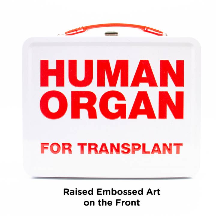 AQUARIUS, GAMAGO, ICUP, & ROCK SAWS by NMR Brands - Wholesale Decorative Box - Human Organ Large Fun Box