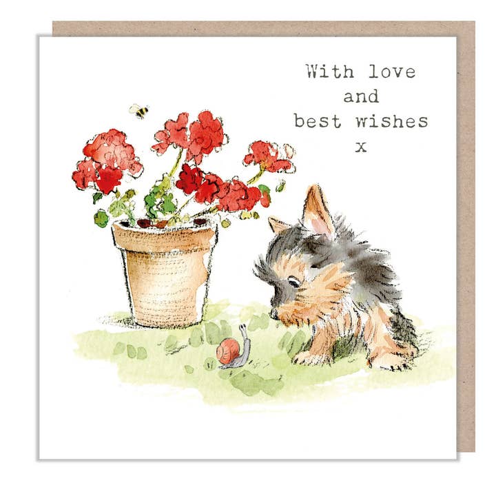 Paper Shed Design Ltd - Wholesale Love Card - With Love And Best Wishes Card - Yorkie With Snail