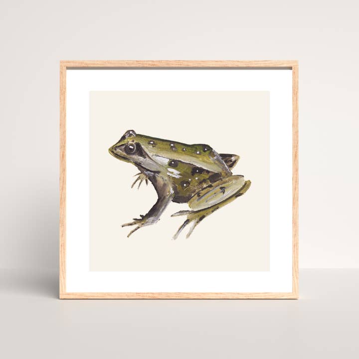 Frog fine art print for wholesale by Dollybirds Art