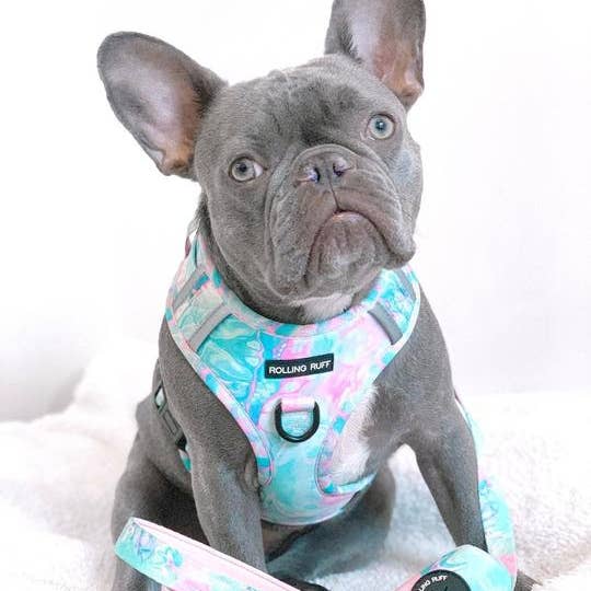 ROLLING RUFF - Wholesale Pet leash – Dog - Unicorn Milkshake Leash2