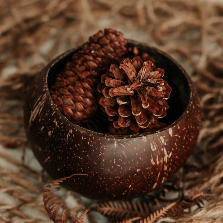 Q Home Australia – wholesale Vas – Coconut Flower Vase0