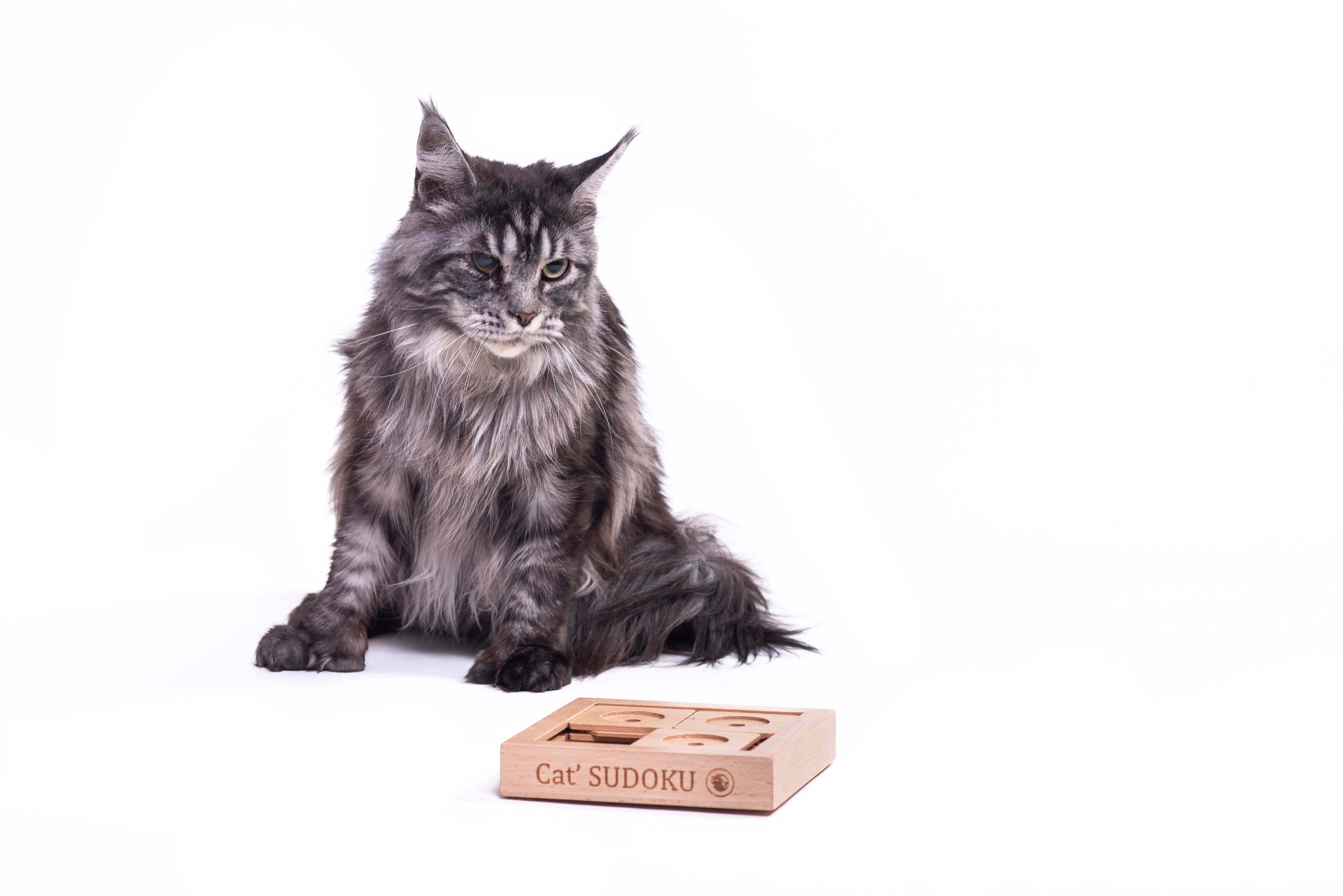 My Intelligent Dogs - Vendita all'ingrosso Giocattoli per animali - Cani e gatti - SUDOKU Small Basic - Puzzle Sudoku per cane e gatto1