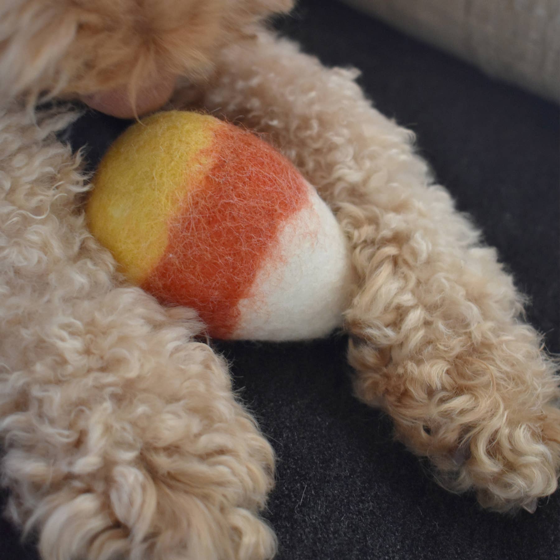 MODERNBEAST - Wholesale Pet Toy - Dog - WOOL CANDY CORN - DOG TOY2
