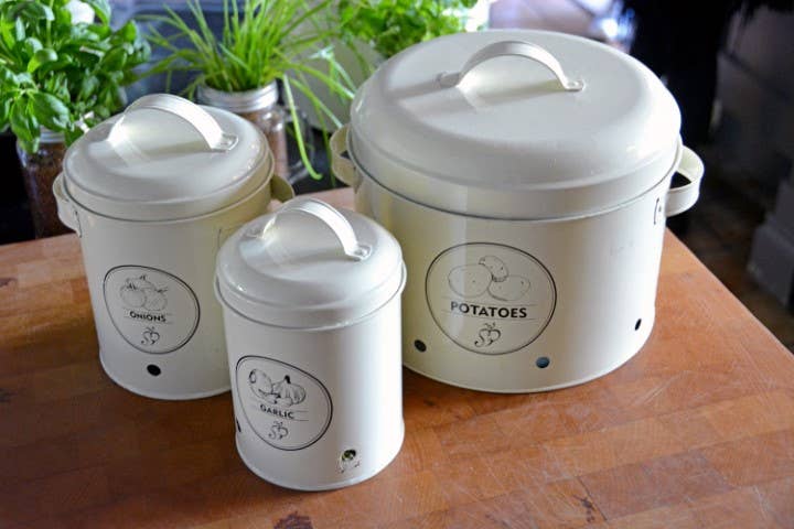 Fallen Fruits Ltd – wholesale Food storage container – C2069 - Onion Storage Tin3