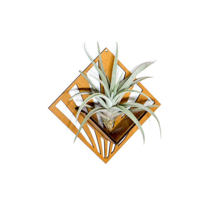 LIGHT RAZOR DESIGN STUDIO - Wholesale Wall planter - Air Plant Holder / Quadrate Wall Hanging Planter 270