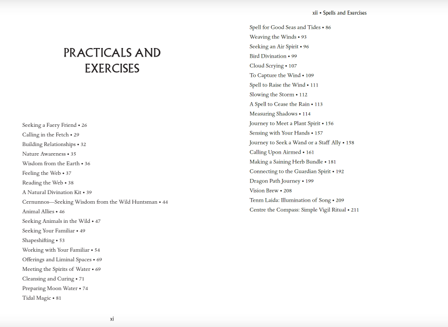 Cardshouse - Wholesale Body, mind and spirit - Wild Magic Book Llewellyn2