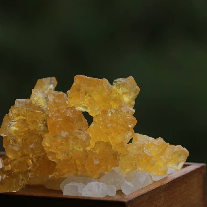 Nazani Tea - Wholesale Sugar/Sweetener - Pumpkin Sugar Crystals (150g Caddy)3