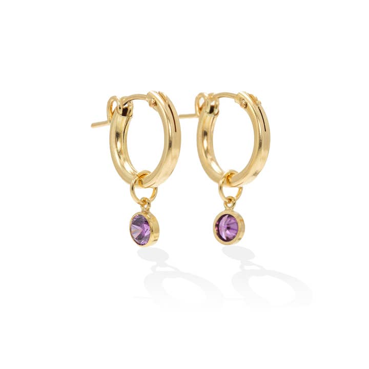 Lover's Tempo Jewelry - Wholesale Hoop Earrings - Birthstone Gold-Filled Hoop Earrings16