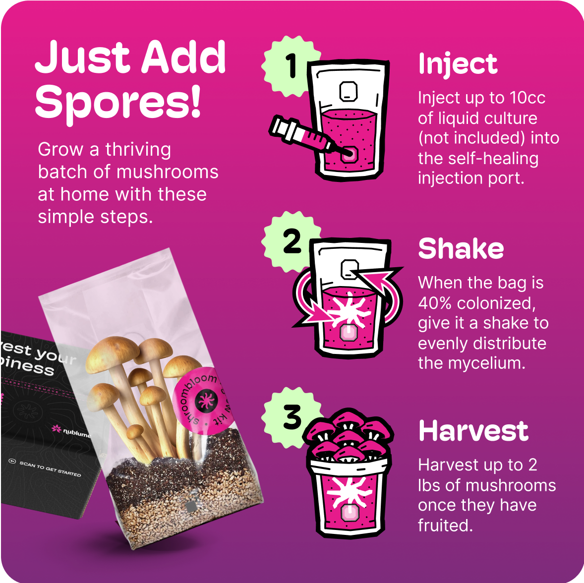 Nublume Mushroom - Wholesale Planter Box - All-In-One Mushroom Grow Kit – Perfect for First-Time Grower5