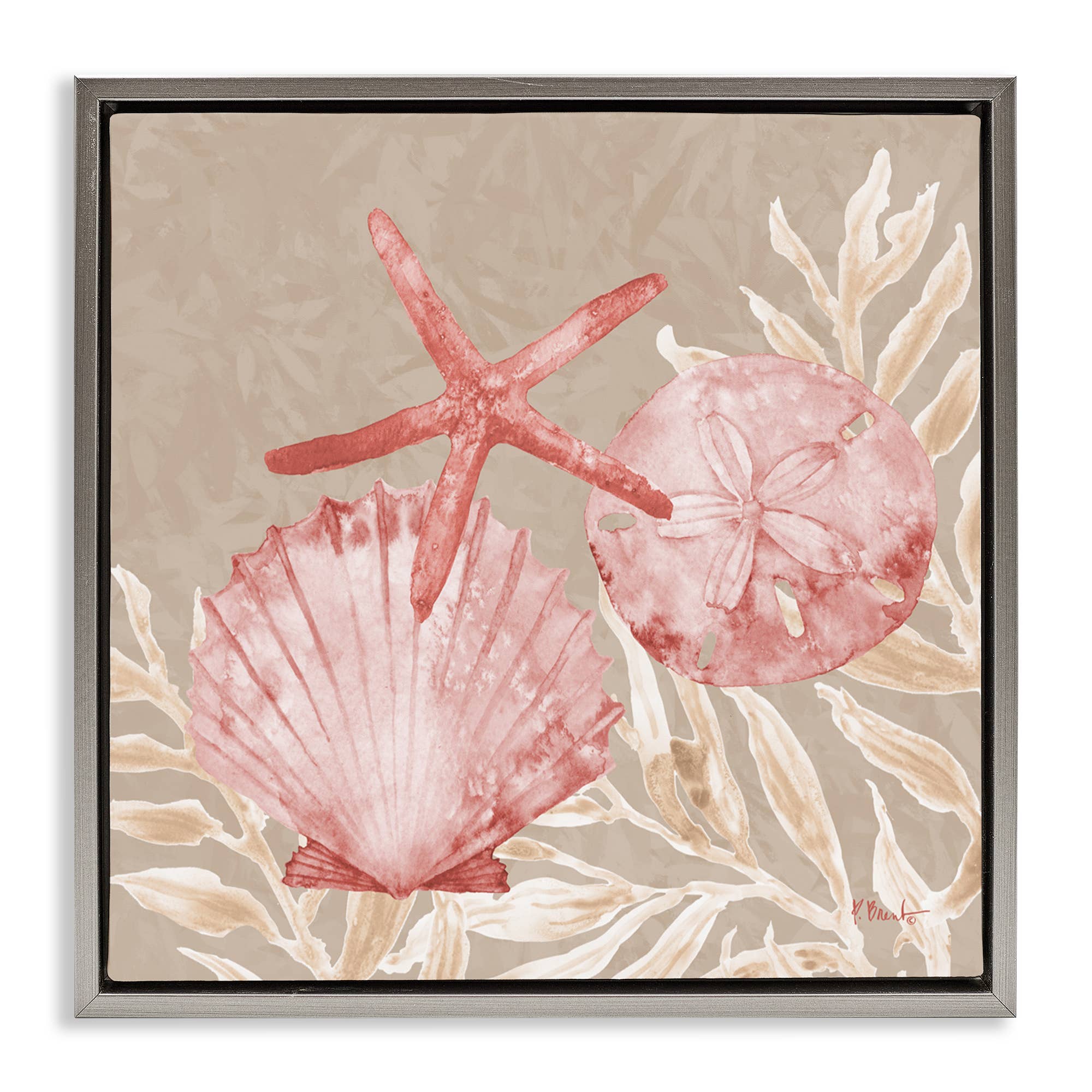 Stupell Industries - Vendita all'ingrosso Cartello da parete - Conchiglie di Tampico e Stelle Marine - Arte da Parete Incorniciata25