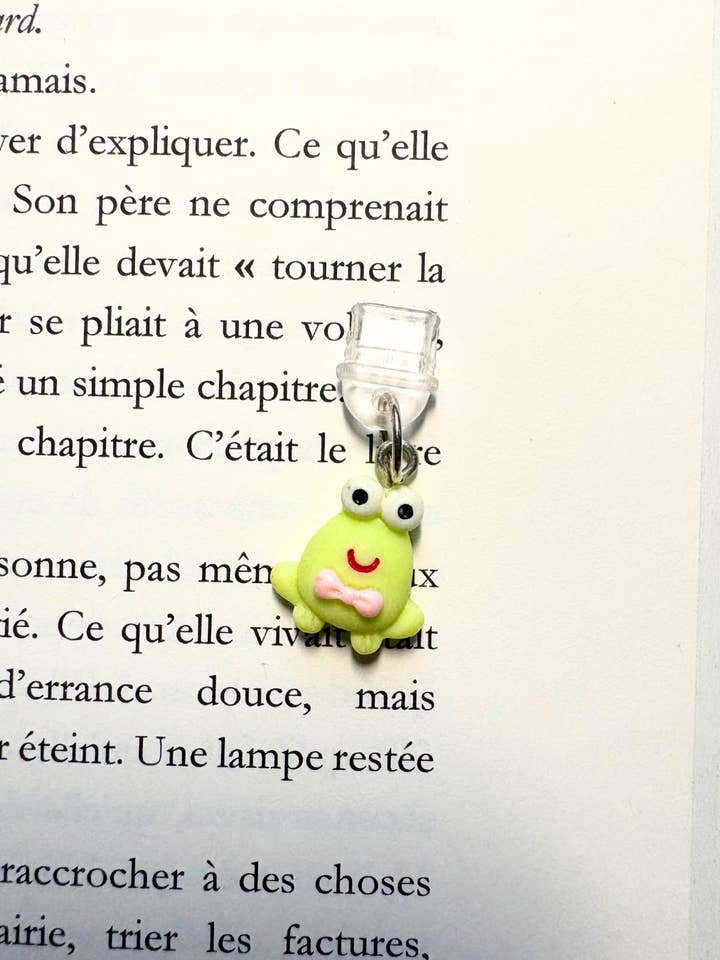 Charms anti-poussière Frogy pour la vente par Au fil des pages