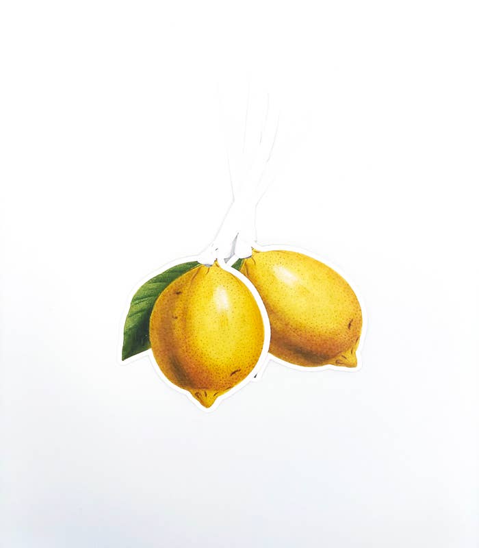 JOSIL Paperie & Gift – wholesale Gift tag – Lemon Gift Tag0