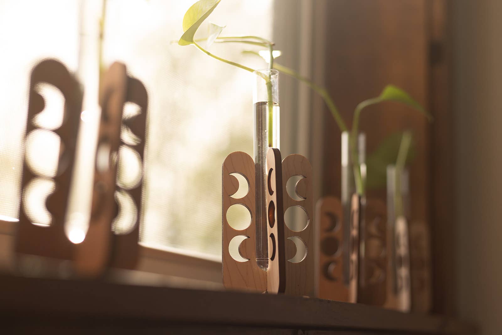 PlantsNsht – Vaso de plantas por atacado – Estação de Propagação de Mesa Fases da Lua3