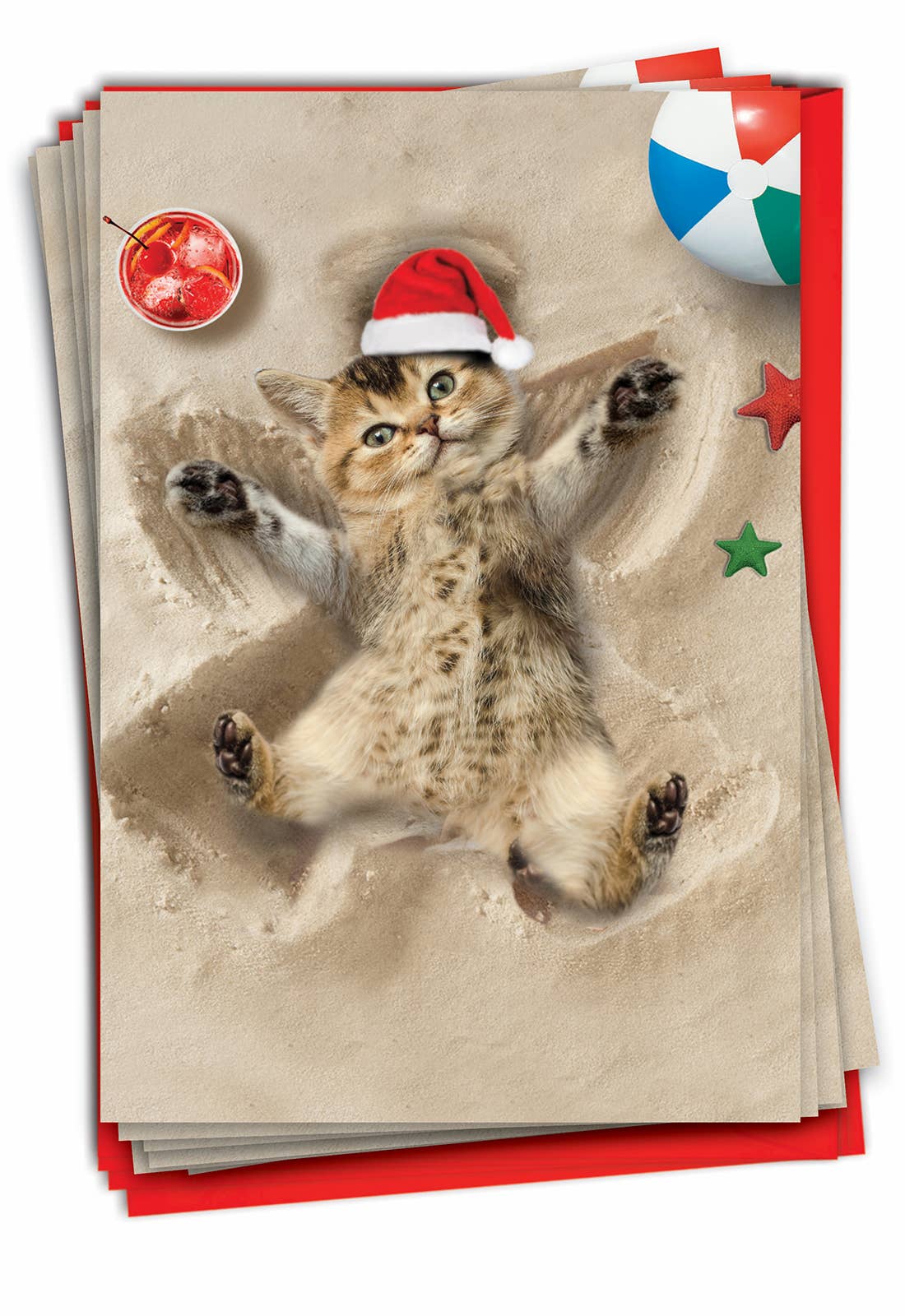 NobleWorks - Venta al por mayor Tarjetas de Navidad - Caja de 12 tarjetas navideñas con forma de gato y ángeles navideños1