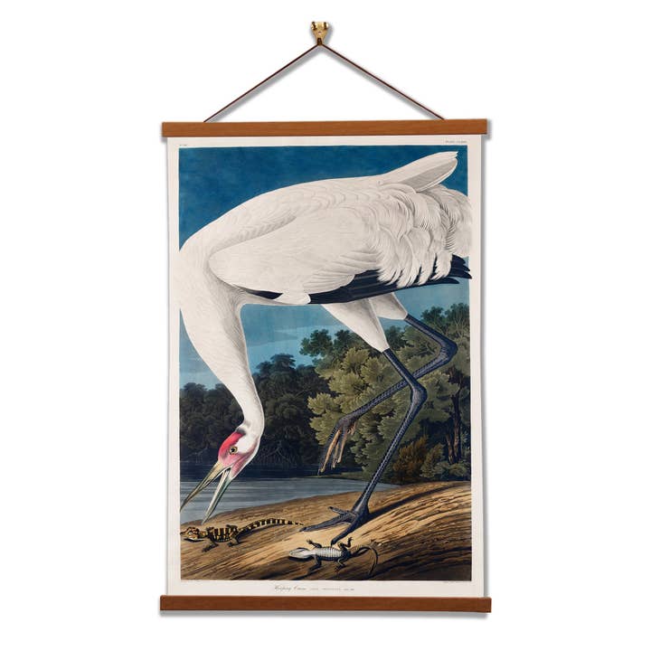 Viskande trana av John James Audubon Vägginramad konst för wholesale av Vintage Banners
