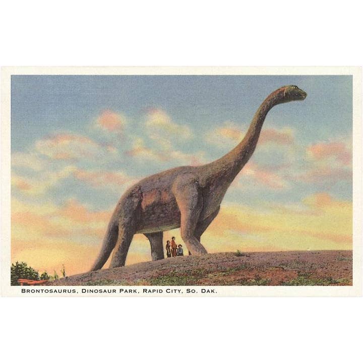 Postcard DS-63 Brontosaurus, Dinosaur Park, Rapid City for wholesale by Found Image Press