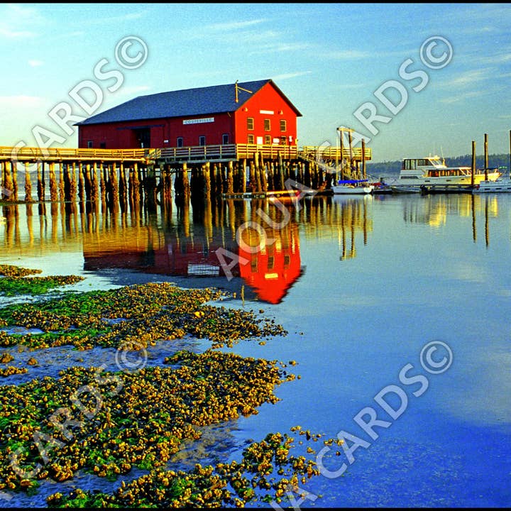 1272 - Maré baixa em Coupeville por atacado de Aqua Cards