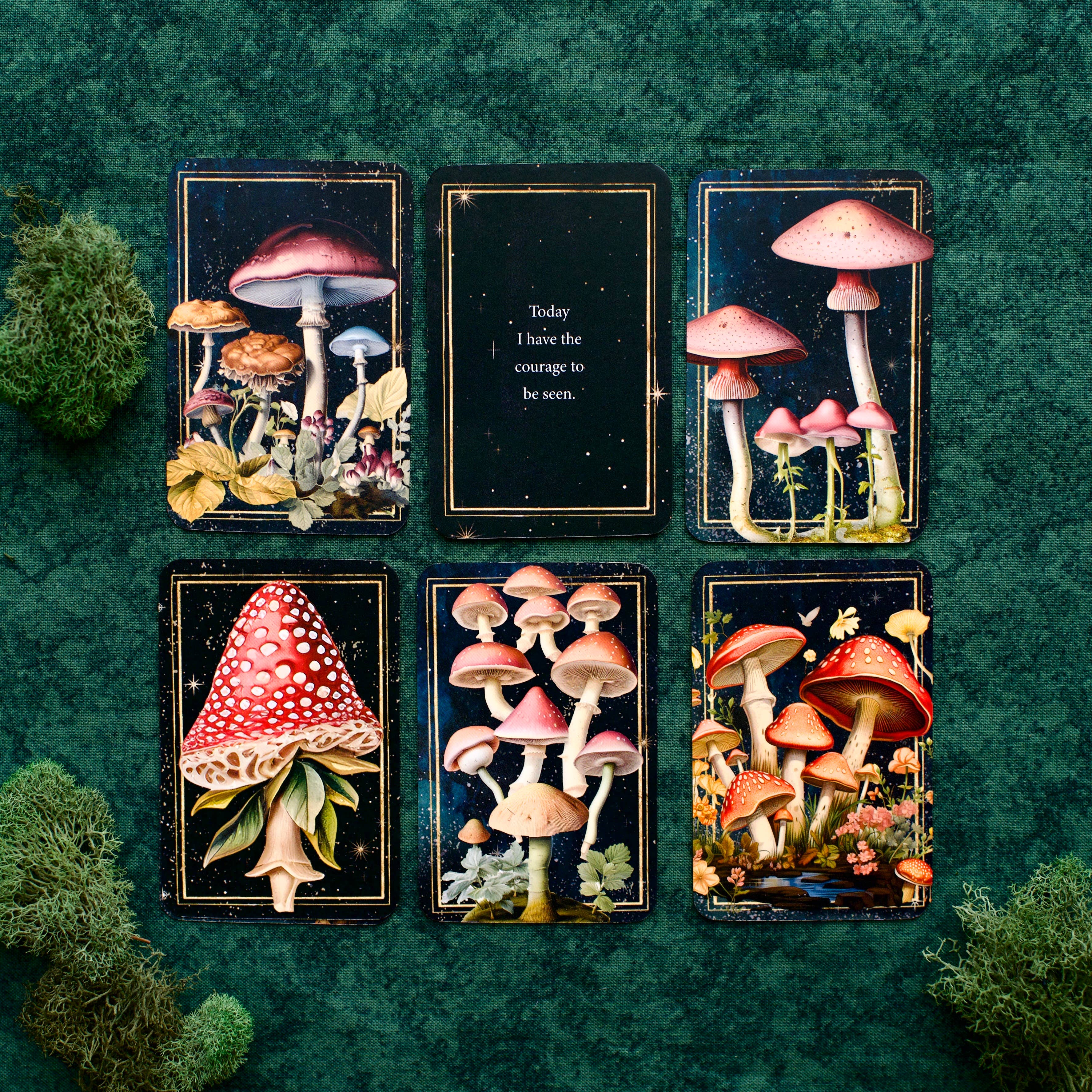 Red Wheel/Weiser LLC - Wholesale Tarot Cards - Mushrooms: Daily Doses of Wisdom (36 Gilt-Edged Mini Cards)3