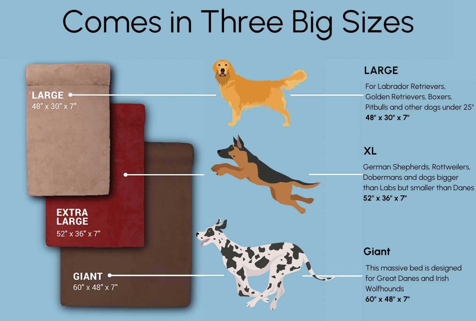 Barker Beds - Vente Panier – chien - Lit orthopédique pour chien 7" - Édition canapé5