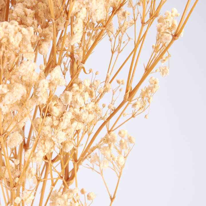 Primitives by Kathy - Wholesale Artificial Flowers - Cream Baby's Breath Bouquet2