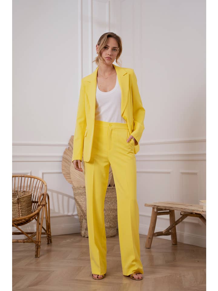 Attentif Paris – wholesale Byxor - Dam – Solid raka byxor med hög midja17