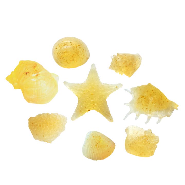 LOT DE 8 SAVONS - Miel et flocons d'or 24 carats | Savon aux coquillages pour la vente par Seashell Soap