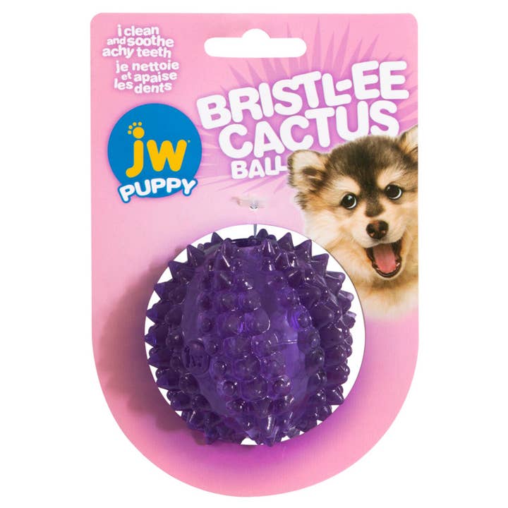 Petdropshipper - Wholesale Pet Chew Toy - Dog - JW Pet Bristl-ee Cactus Ball Puppy Toy 1ea/Puppy