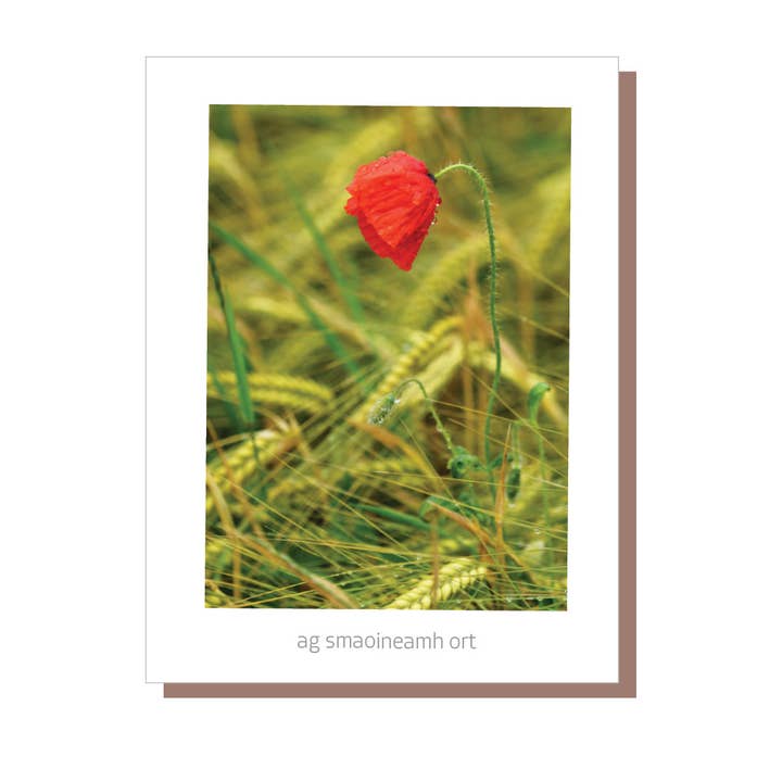 Ag Smaoineamh Ort - Pensando en ti - tarjeta en irlandés (Gaeilge) para venta al por mayor de Irish Greeting Cards by Catherine Dunne