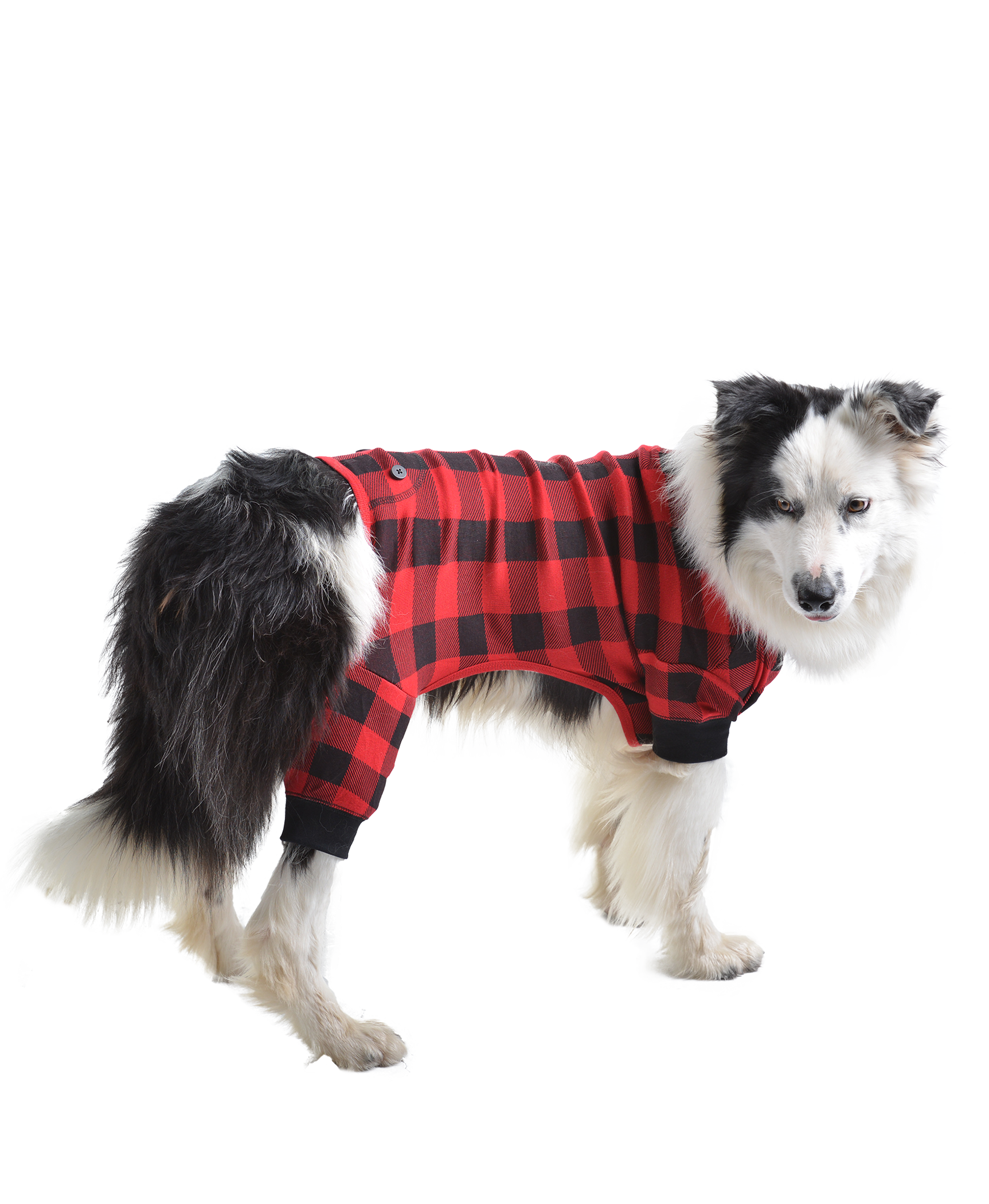 Lazy One - Wholesale Pet Costume - Dog - Plaid Bear Cheeks Dog Flapjacks6
