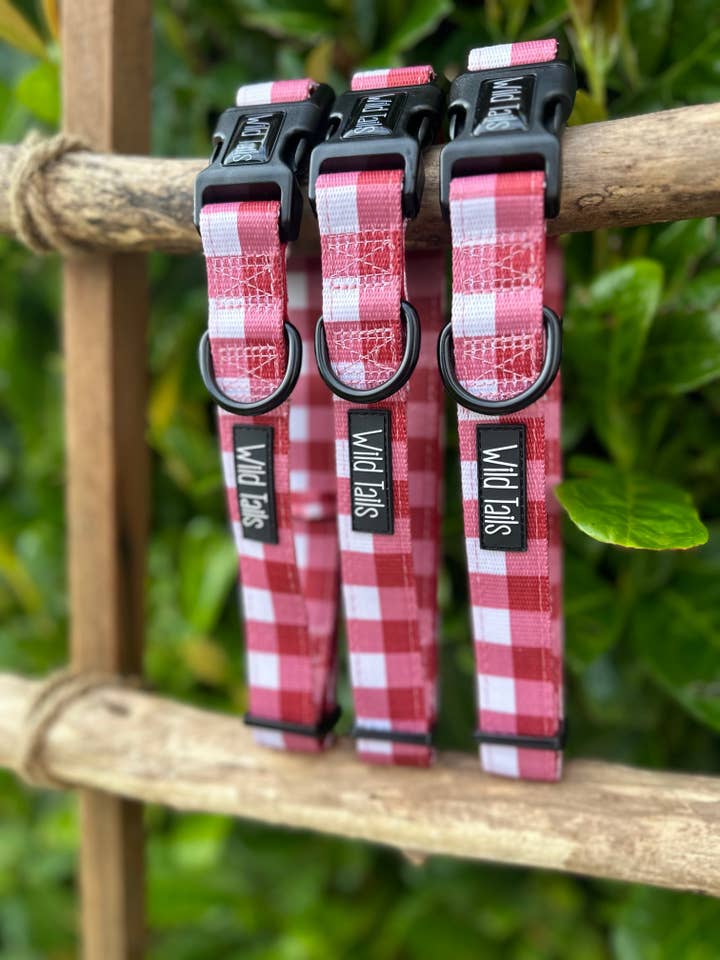 Classic Collection halsband - rött för wholesale av Wild Tails Co