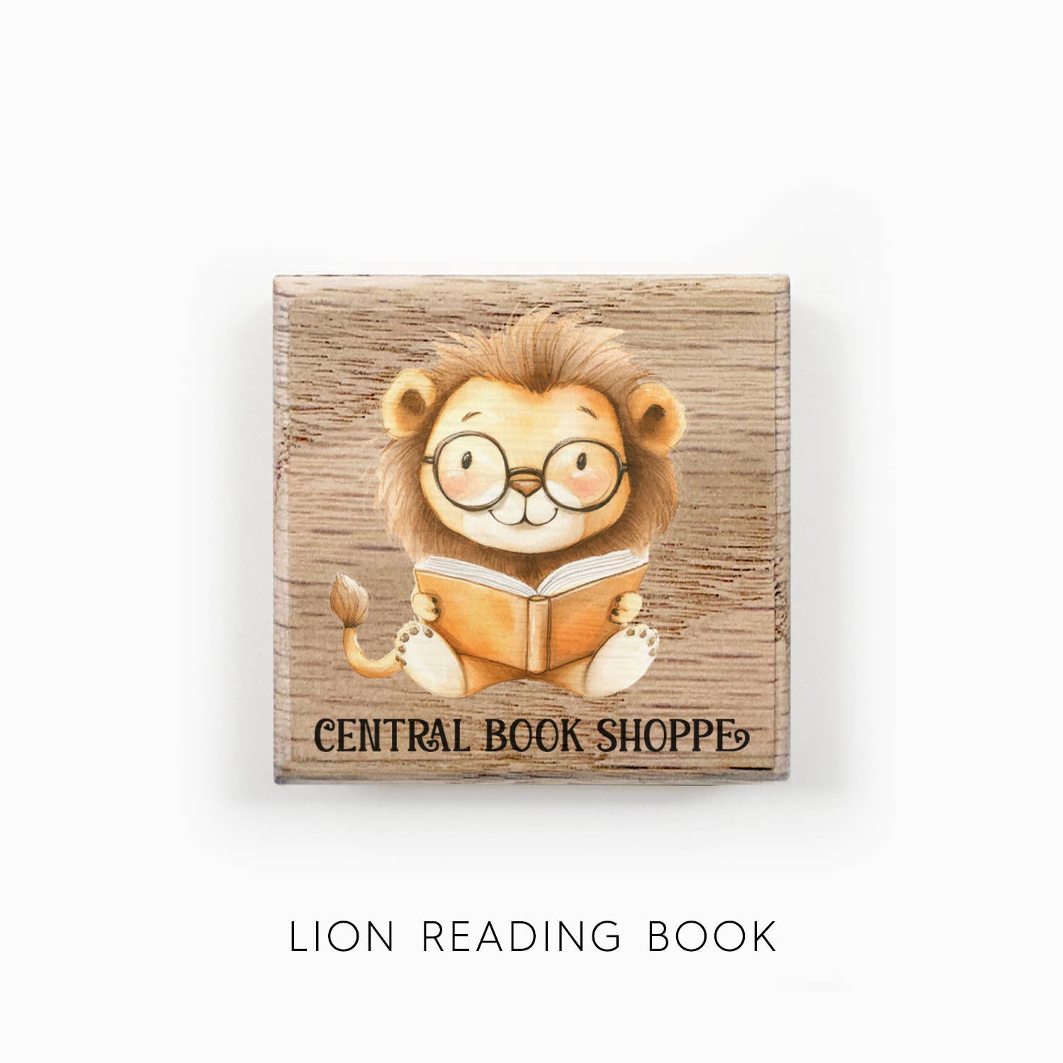 Hangout Home - Vendita all'ingrosso Calamite - Calamite da Frigo Personalizzate per Libreria Animali Carini che Leggono Libri9