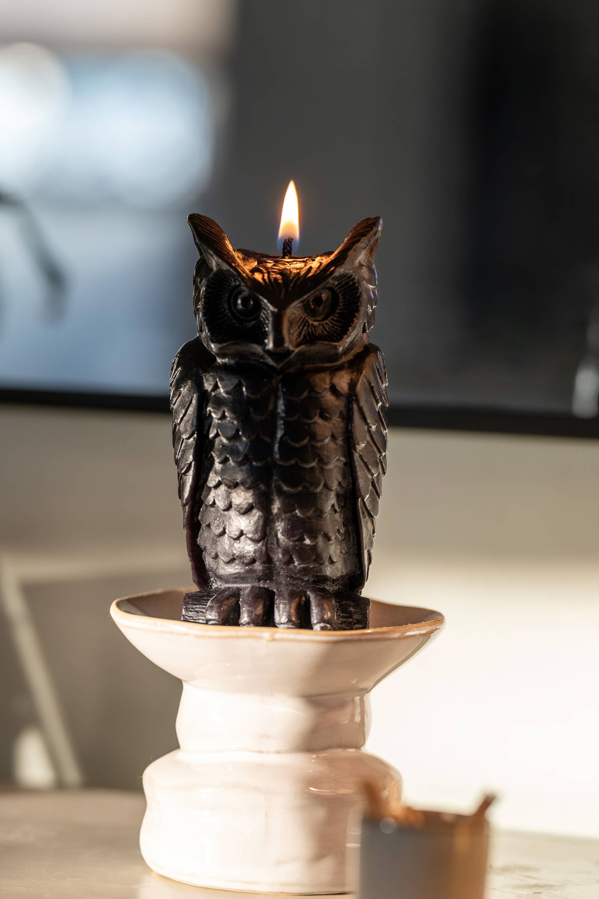 Sunbeam Candles, Inc - Wholesale Novelty Candle - Beeswax Wise Owl3