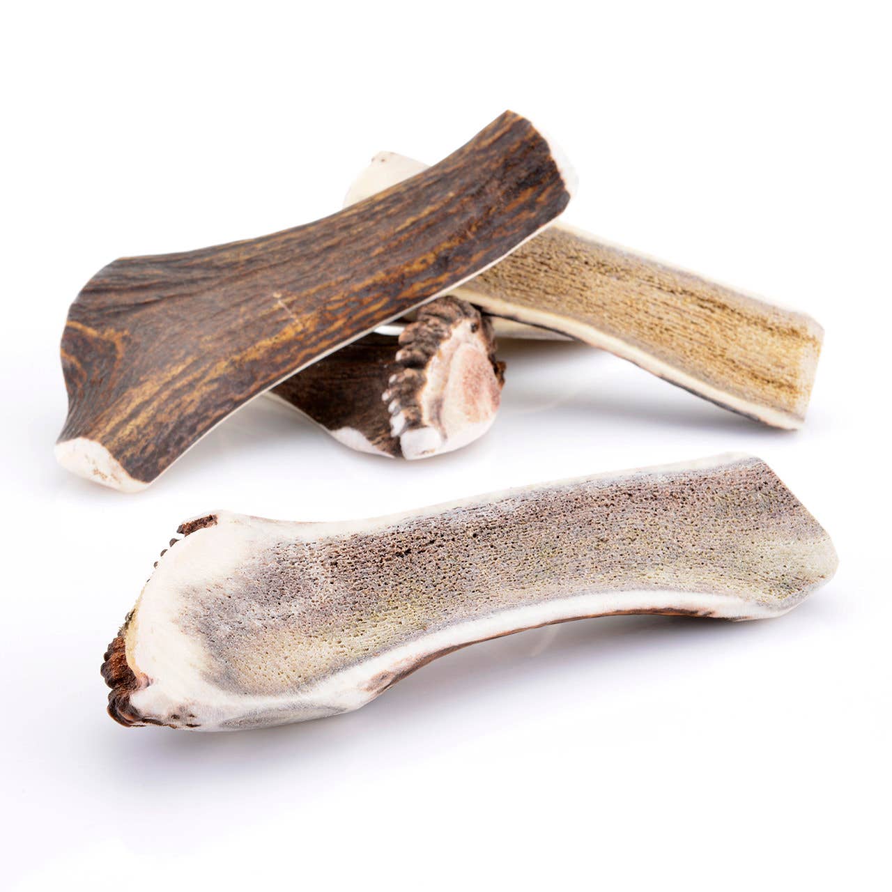 Cernunos - Vente Os à mâcher – chien - Bois de cerf tranché3