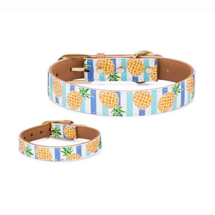 Friendship Collar – wholesale Pet collar – Dog – Pina Collarda10