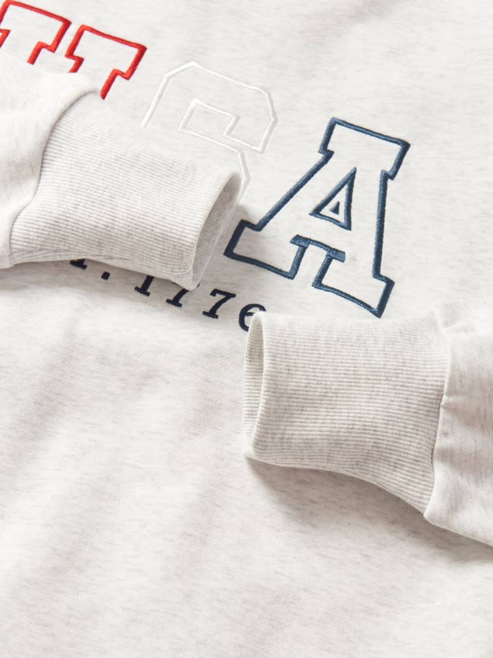 Little Bipsy - Wholesale Sweatshirt - Unisex - Adult USA Lightweight Crewneck - Heather Grey