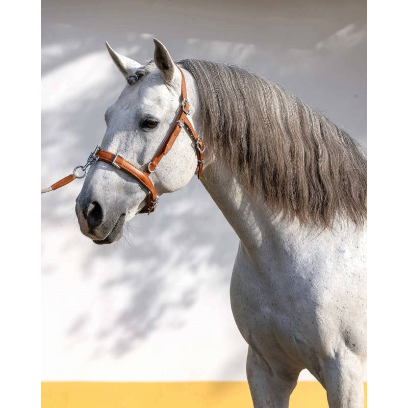 VMCS Selaria Europe - Wholesale Horseback Riding Gear - Serrilhão Leather Three Rings Apez