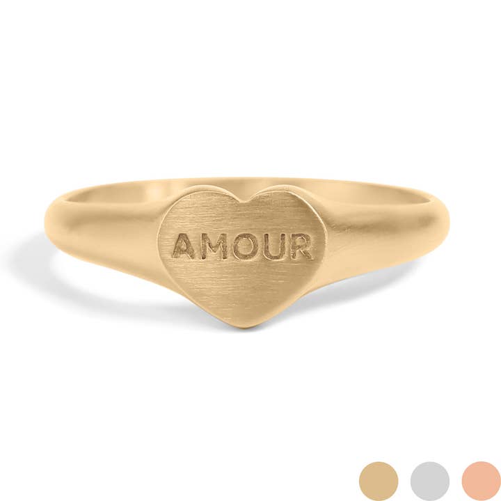 WJW – Engroshandel Signetring – 18K Guld PVD Rustfrit Stål Amour Hjerte Signet Ring
