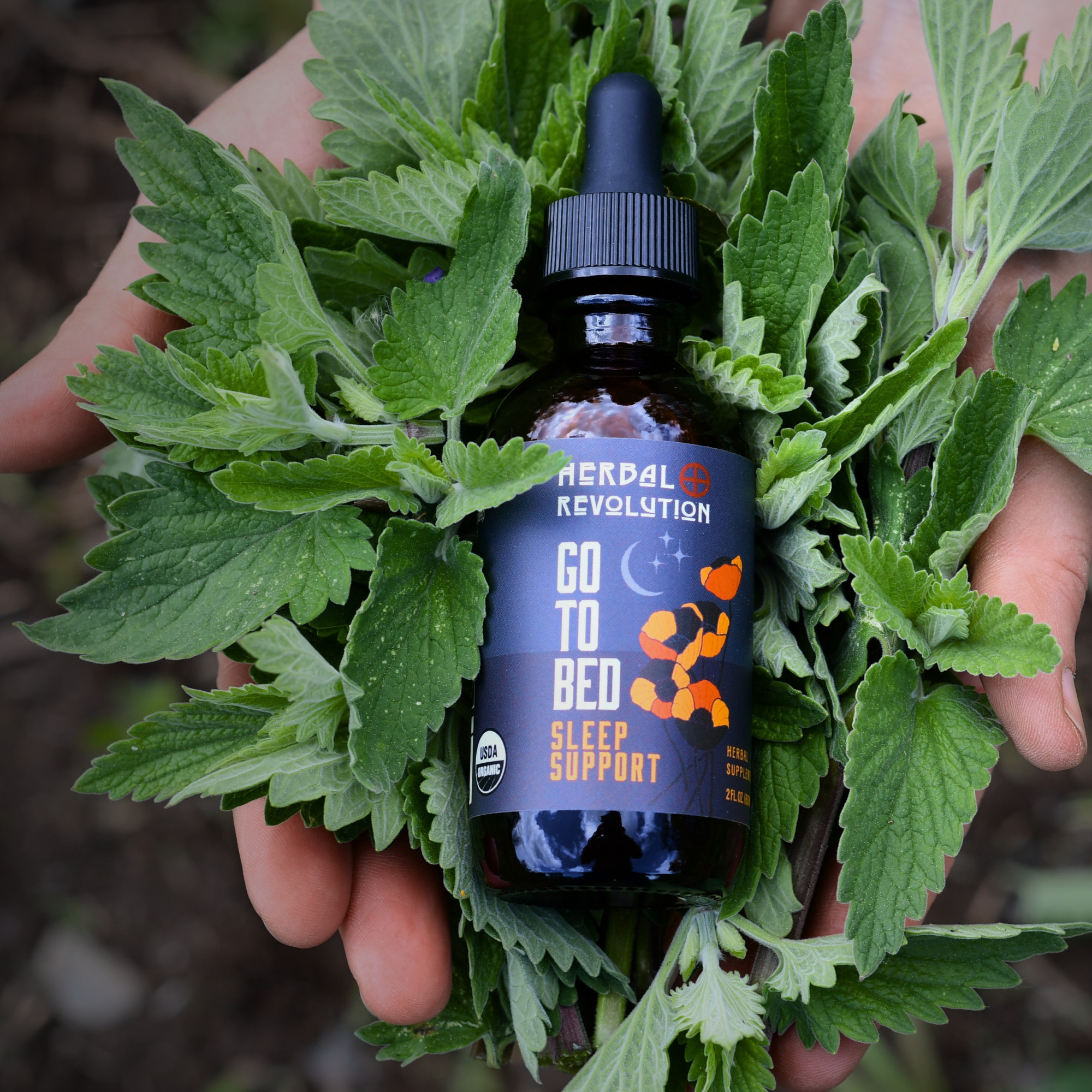 Herbal Revolution Farm + Apothecary - Vente Teinture - Va au lit : Élixir de sommeil profond4