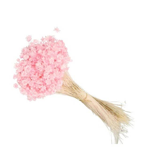 .AVPV. Studio - Wholesale Artificial Flowers - Glixia mini star flowers7