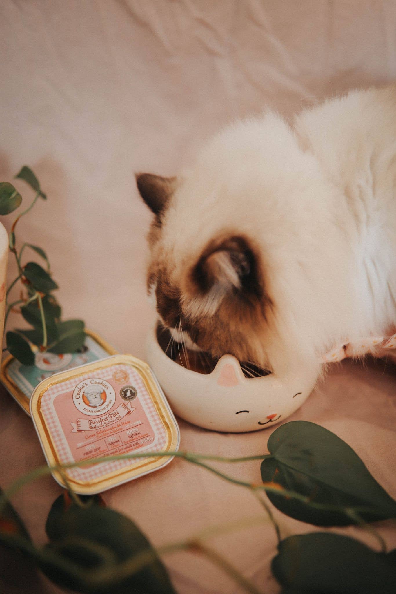 Cooka's Cookies - Wholesale Pet Food - Cat - BEEF PÂTÉ2