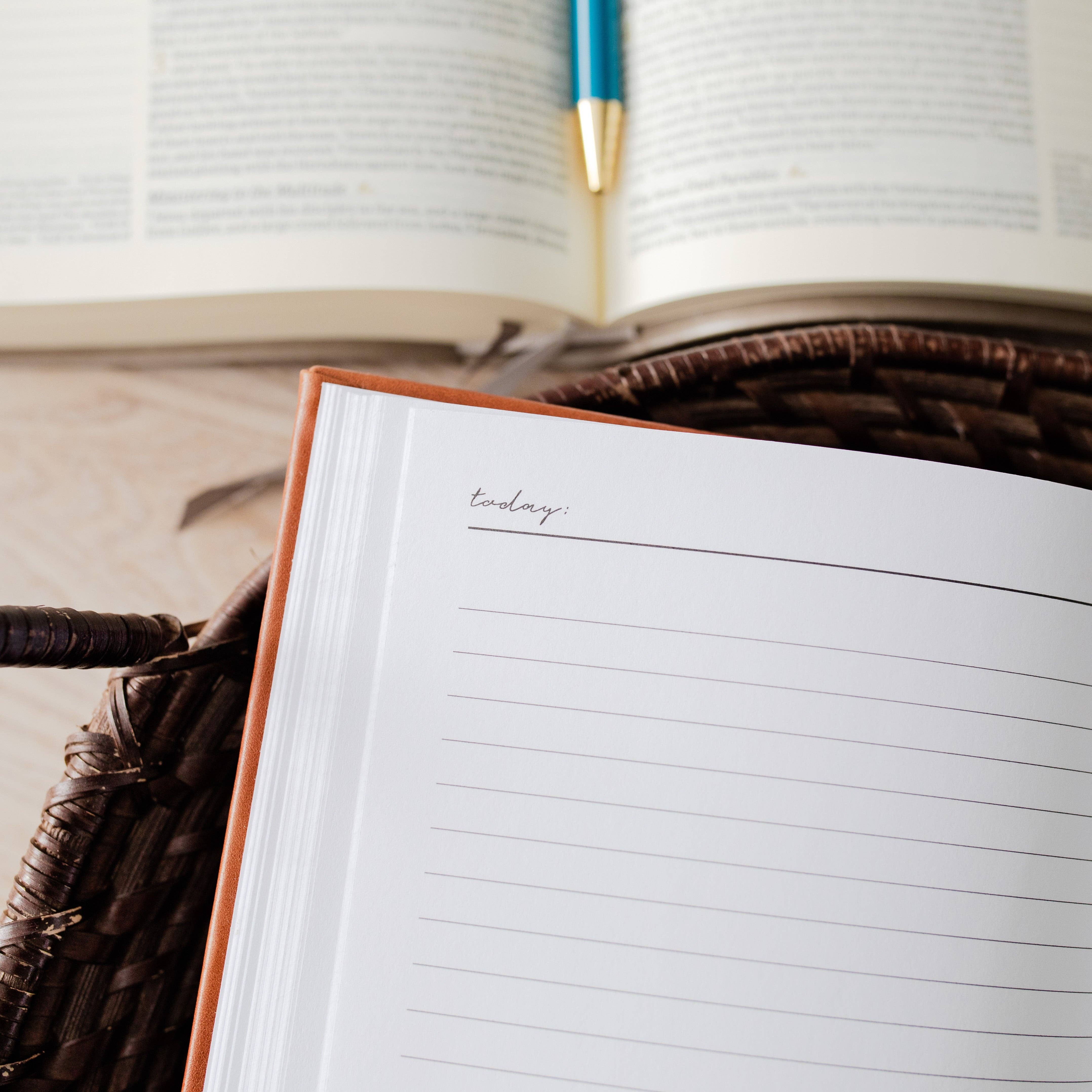 The Daily Grace Co - Wholesale Journal/Diary - Daily Journal | He Leads Me3