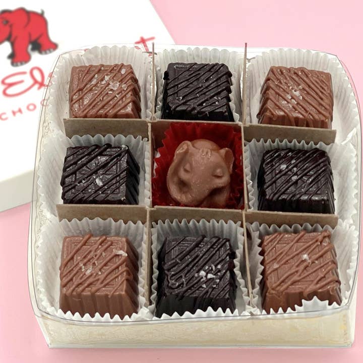 Concordia Red Elephant Chocolate - Wholesale Chocolate Box - The Sea Salt Caramel Collection: Our Best Selling Chocolates